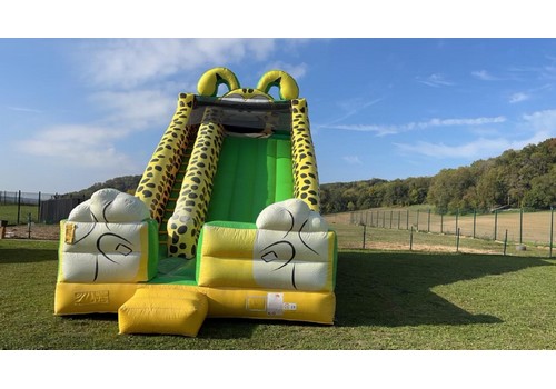 toboggan zoo jeu gonflable